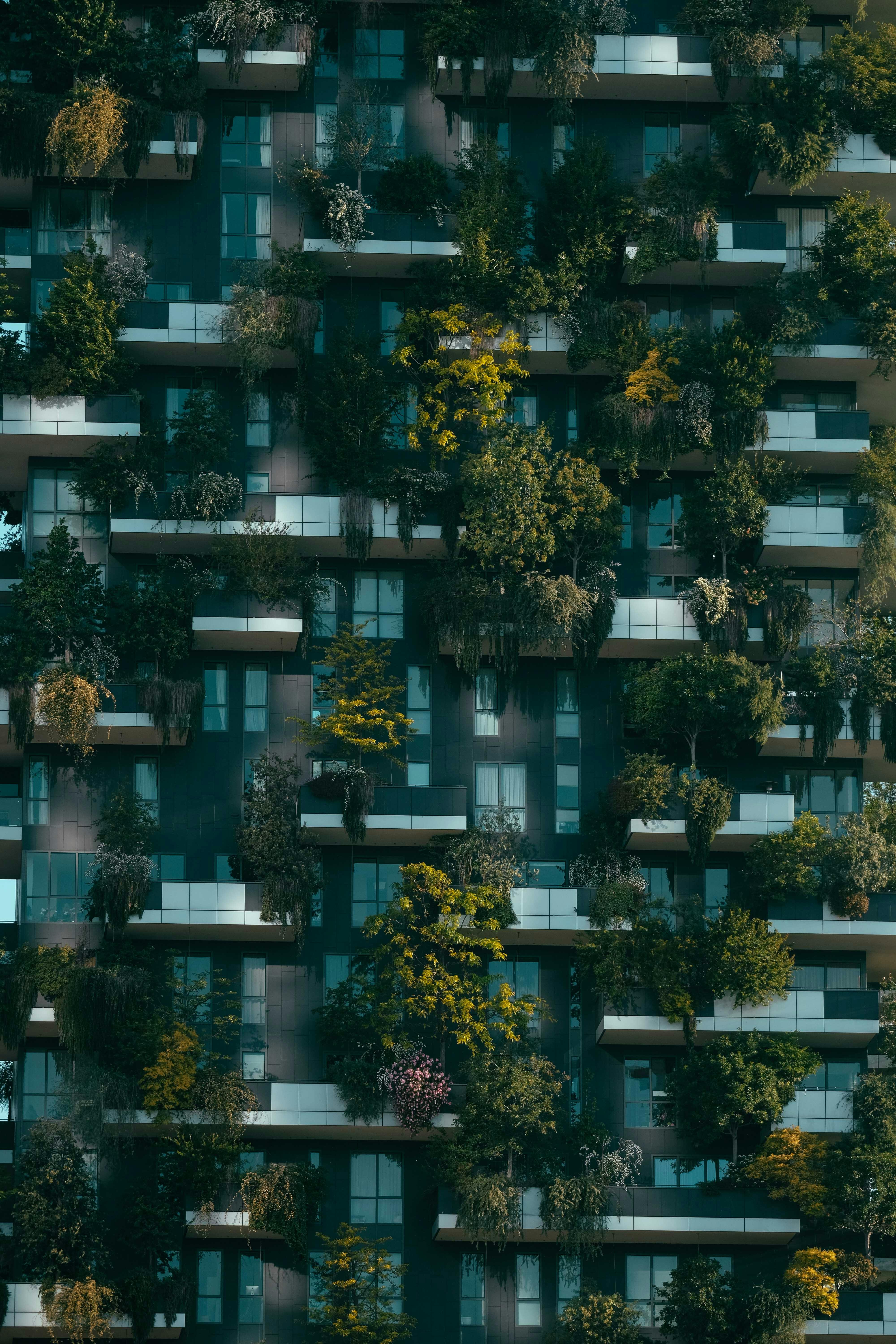 An example picture of Urban Greening.